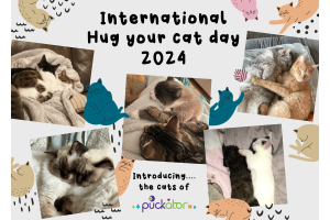 Świętuj Międzynarodowy Dzień Przytulania Kota z Puckator!